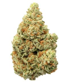 Blueberry Kush Indica