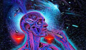 Dmt In The Brain 1