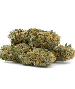 Jaggermeister By Consortium Collective