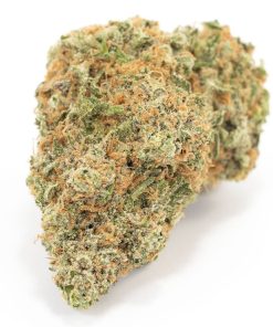 Mango Sapphire Hybrid