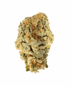 Master OG Indica
