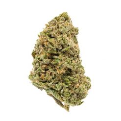 Pink Star Indica